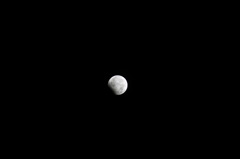 元旦月食-4