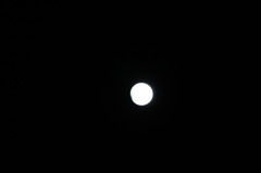 元旦月食-1
