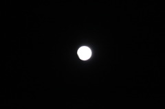 元旦月食-2