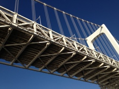 Blue SKY Bridge
