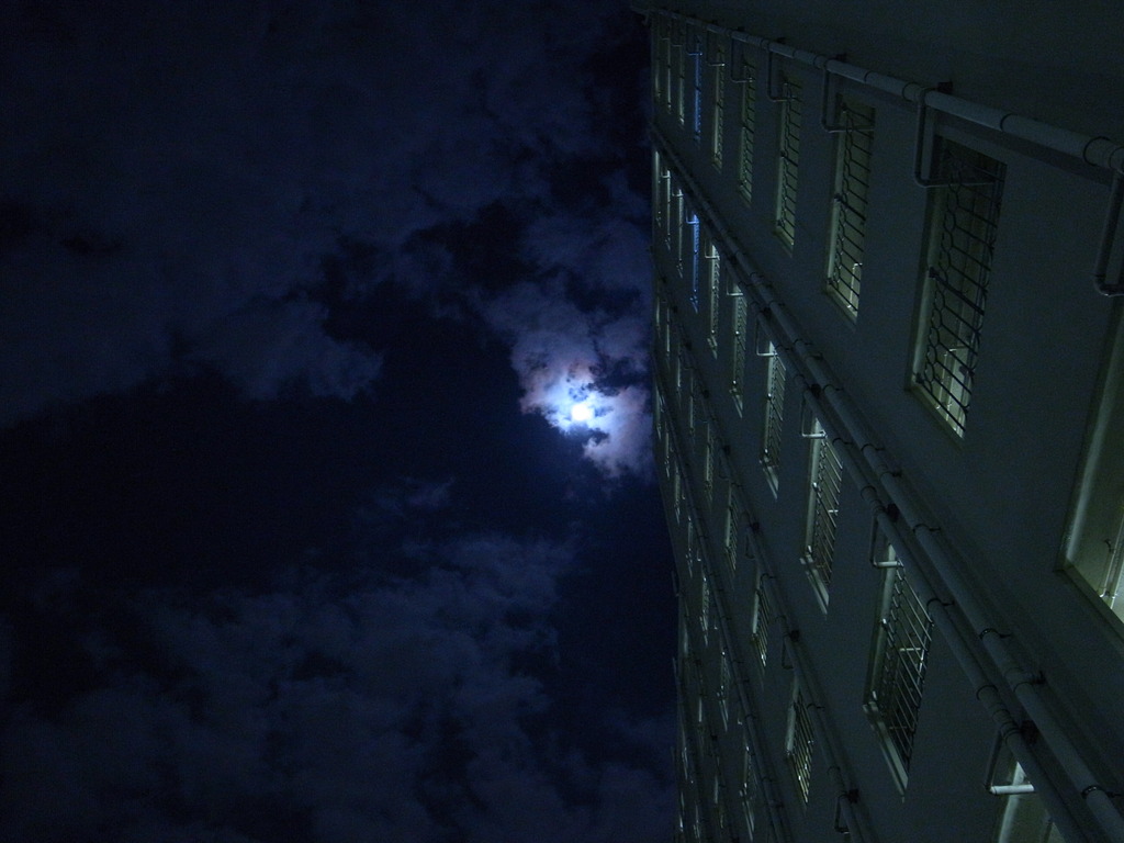 moon light blue