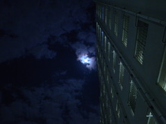 moon light blue