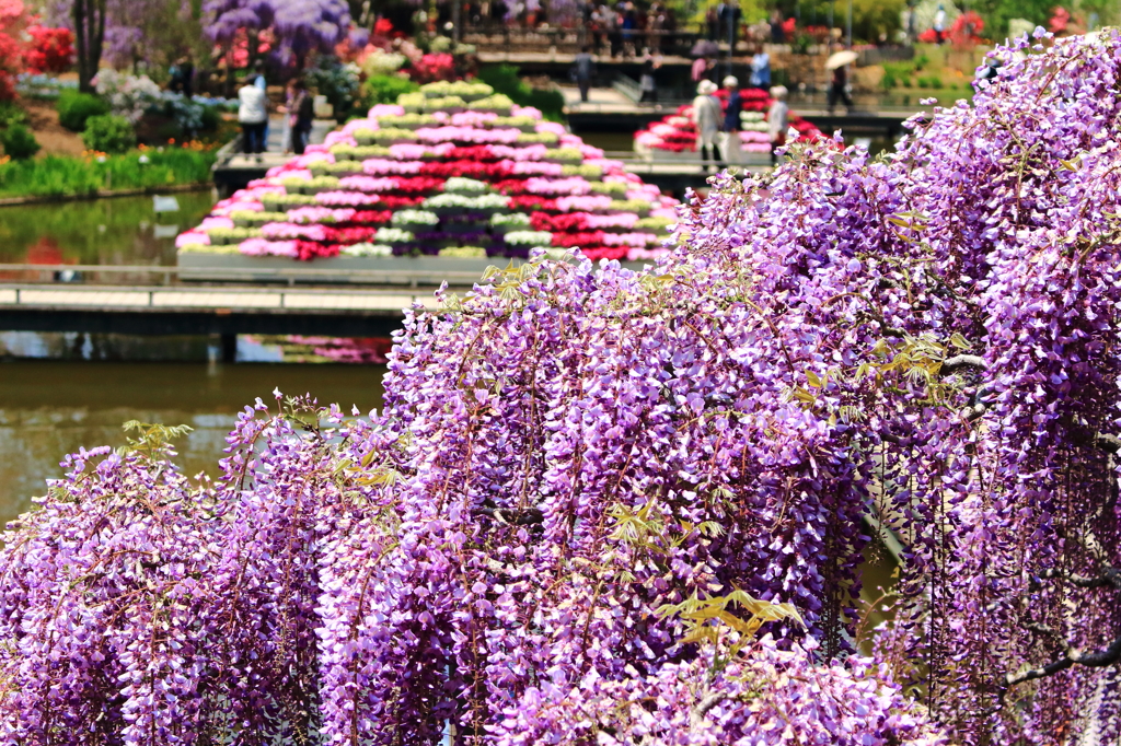 Flower Park