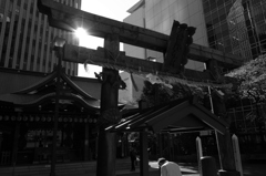 金毘羅さま