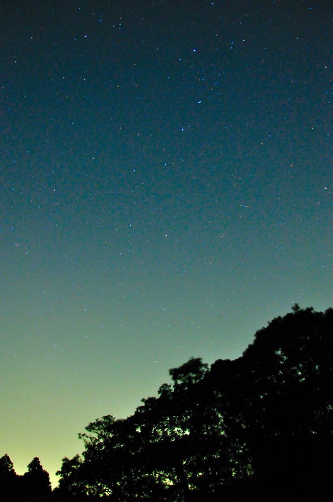 GENJI舞う夜空