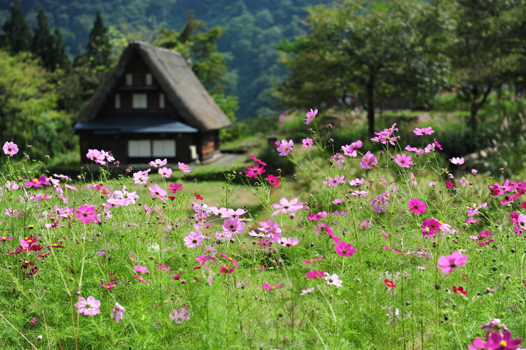 THE・世界遺産