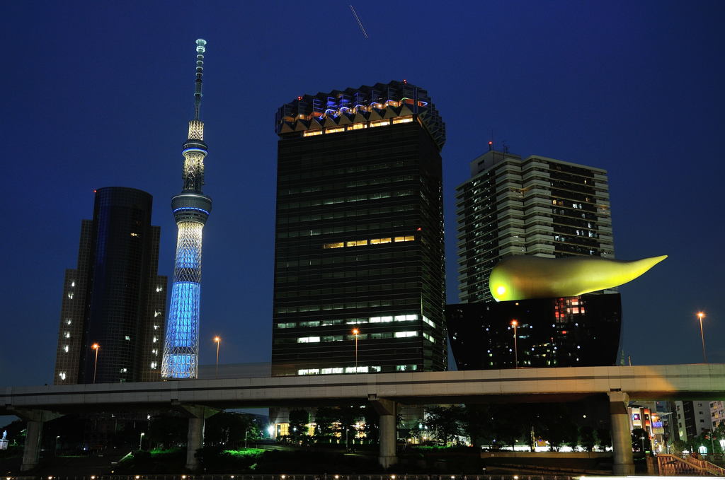 Tokyo night