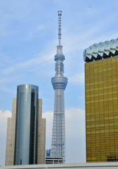 blueSkytree