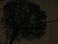 スナップ-4-高円寺近辺