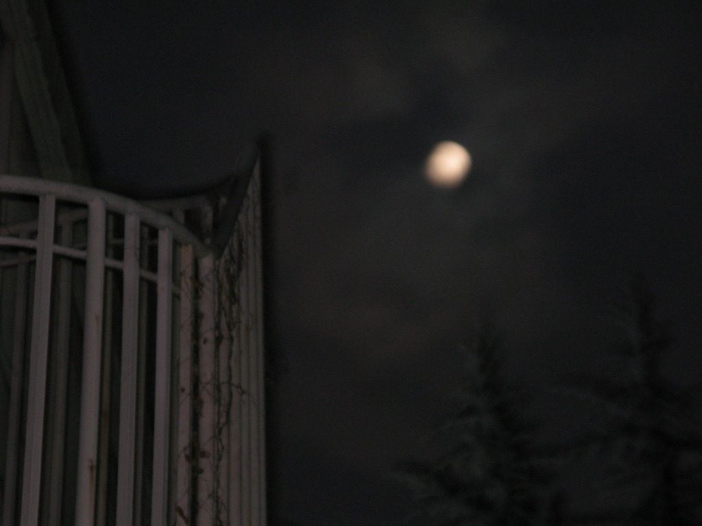 スナップ-3-高円寺近辺