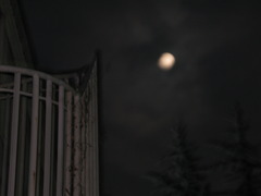 スナップ-3-高円寺近辺