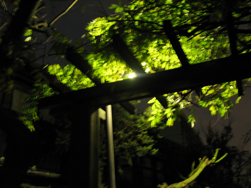 スナップ-5-高円寺近辺