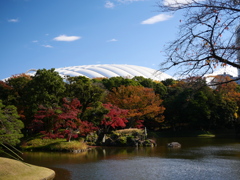 紅葉とドームと青空