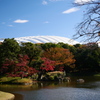 紅葉とドームと青空