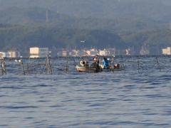 宍道湖の朝