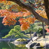 徳川園の紅葉