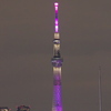 「雅」