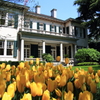 オランダ大使館とチューリップ（’１３）