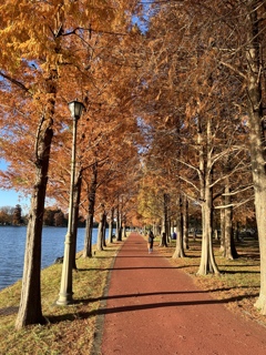 秋深まる休日の公園