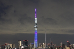 雨上がりのスカイツリー