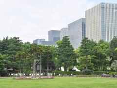 昼下がりの公園