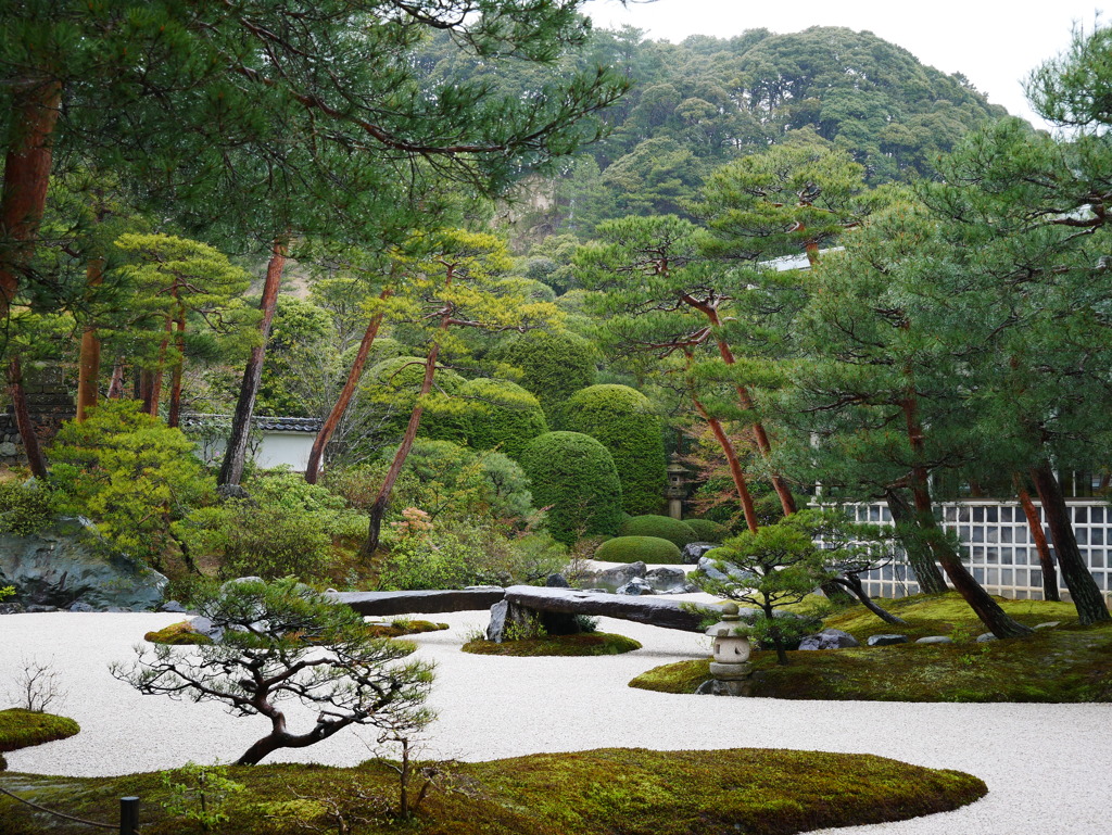 足立美術館庭園”苔庭”