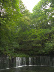 白糸の滝