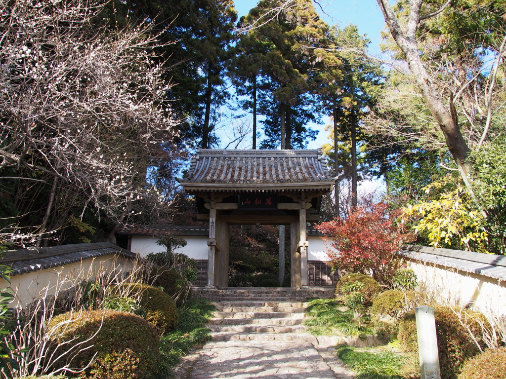 井伊家菩提寺　龍潭寺（浜松市）