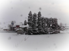 散居村の雪景色