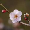 二年前の今日