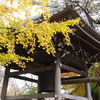 金乗院　紅葉'16　⑤