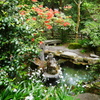 五徳山 水澤観世音（水澤寺）