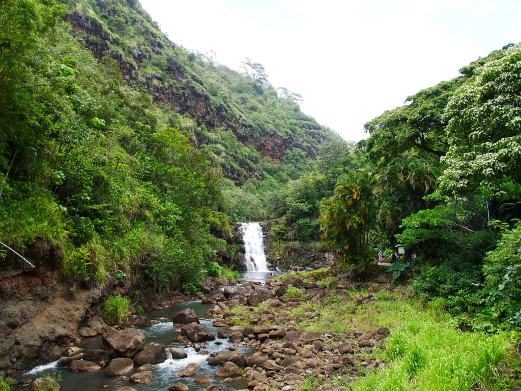 Waimea Valley