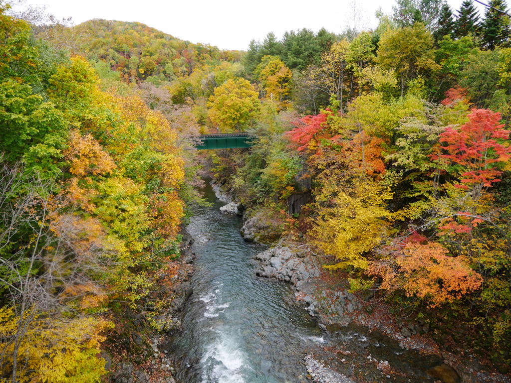 岩根橋