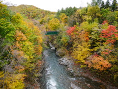 岩根橋