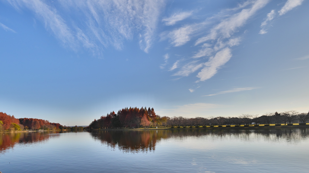 早朝公園Ⅲ