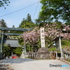 榛名神社