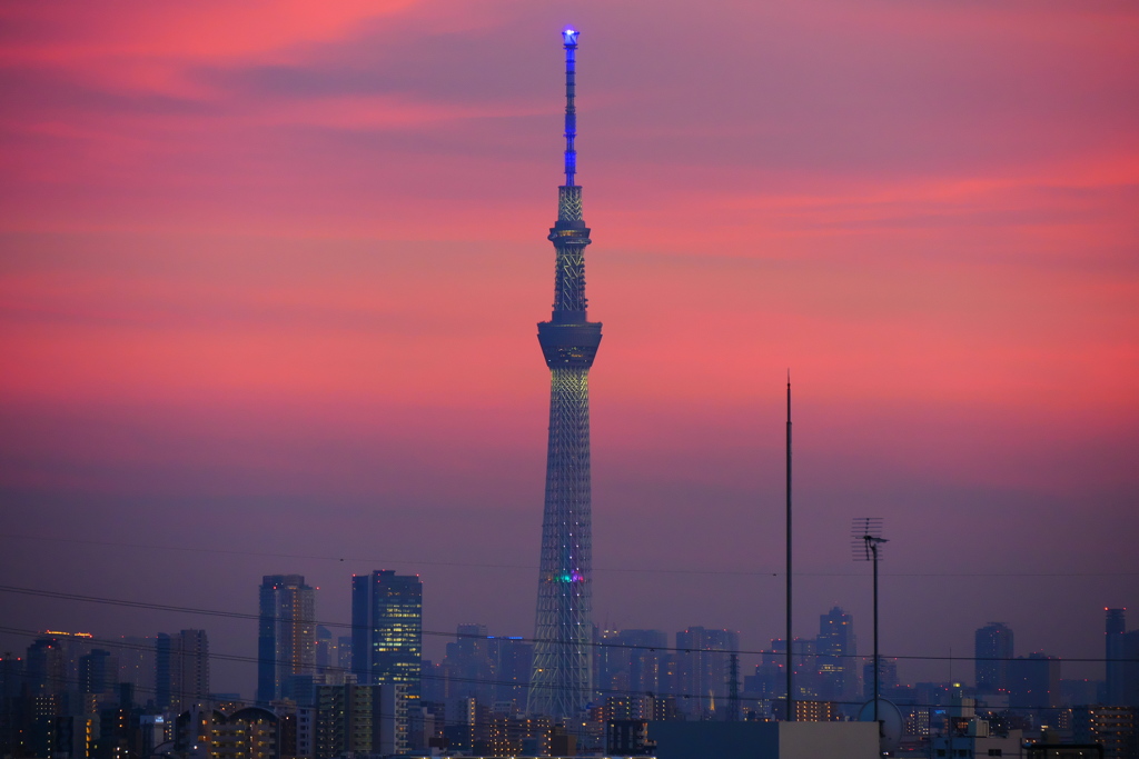 夕焼けスカイツリー