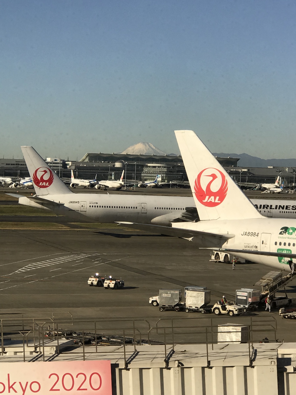 鶴丸と富士山