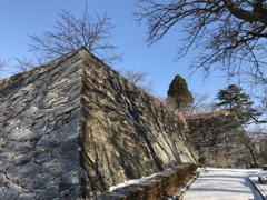 盛岡城址公園（岩手公園）