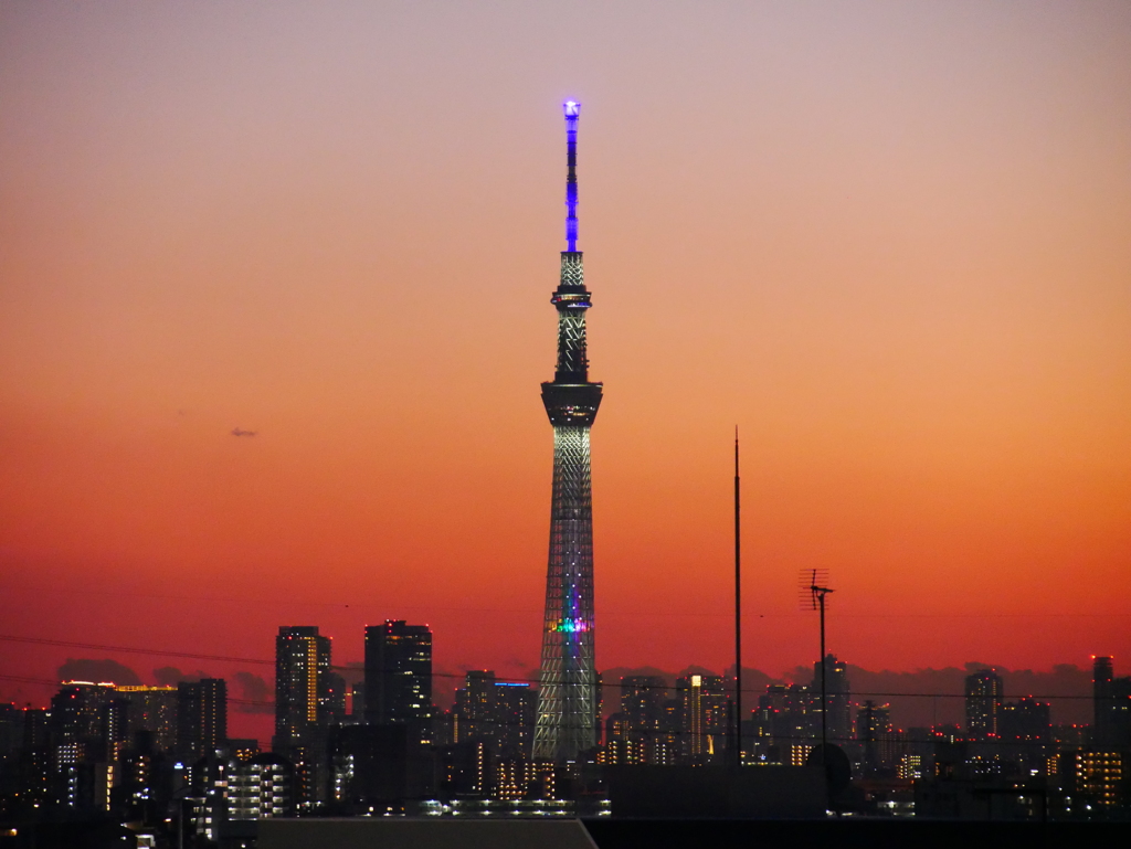 夕焼けとスカイツリー