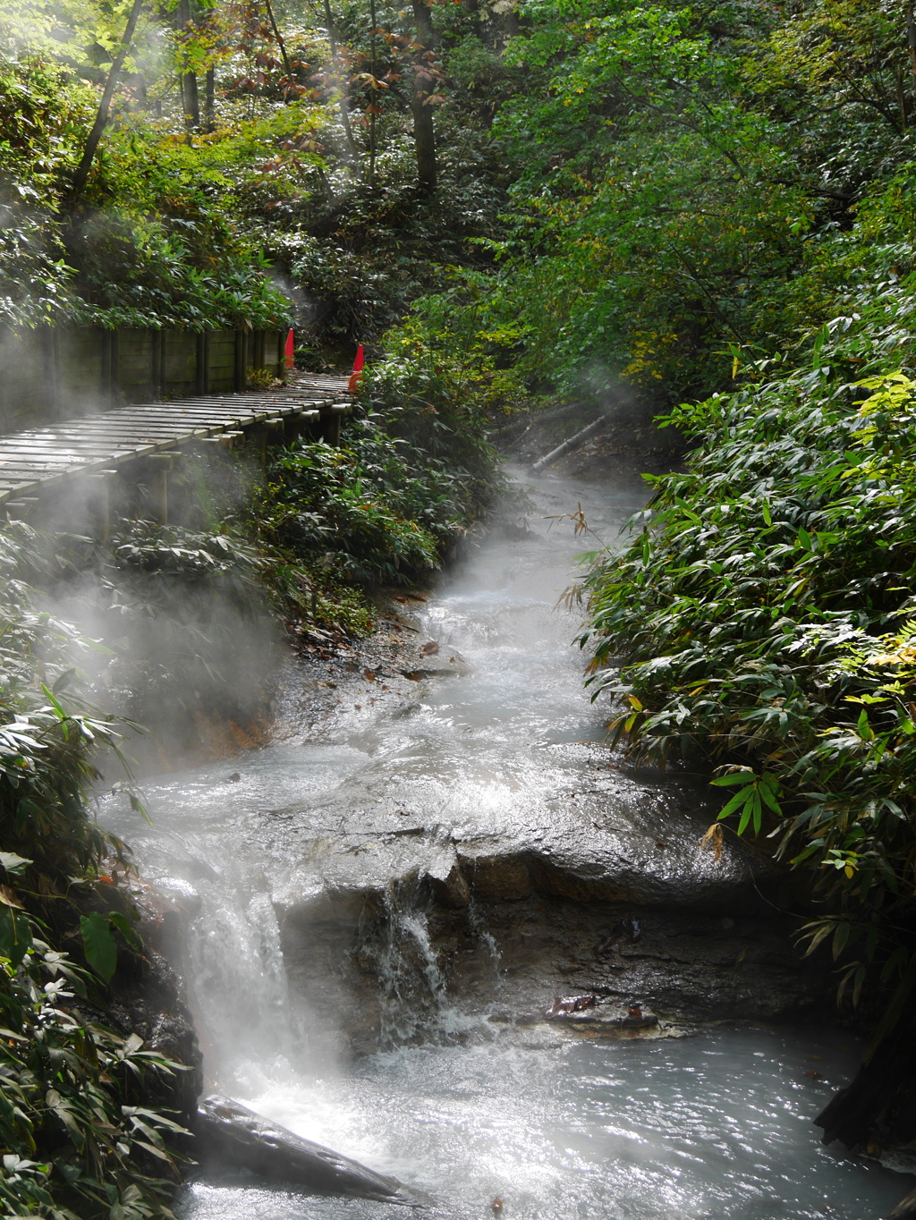 大湯沼川天然足湯