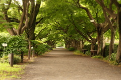 植物園