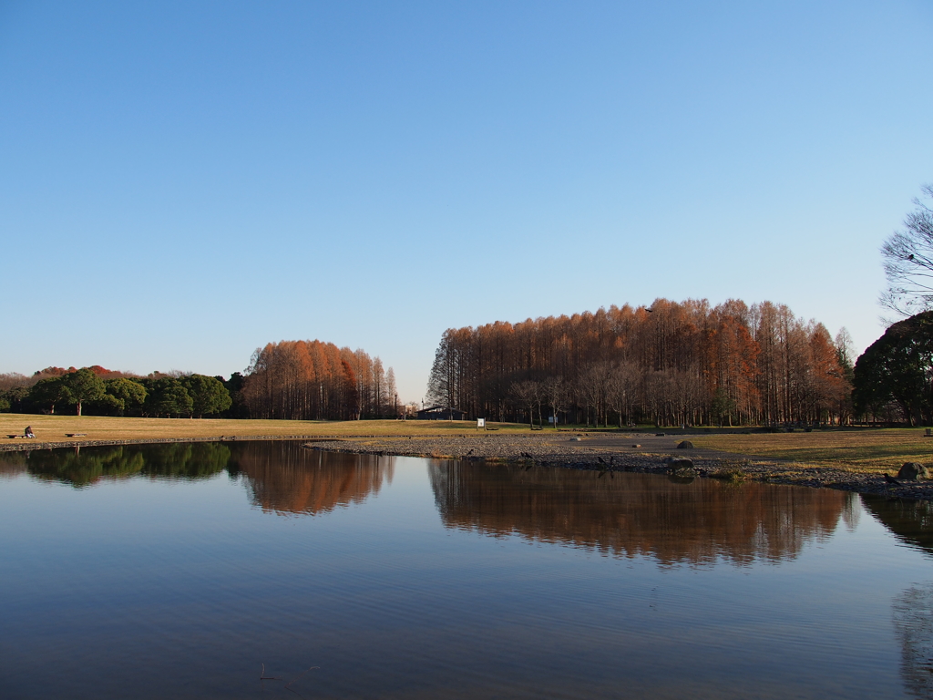 昼下がりの公園