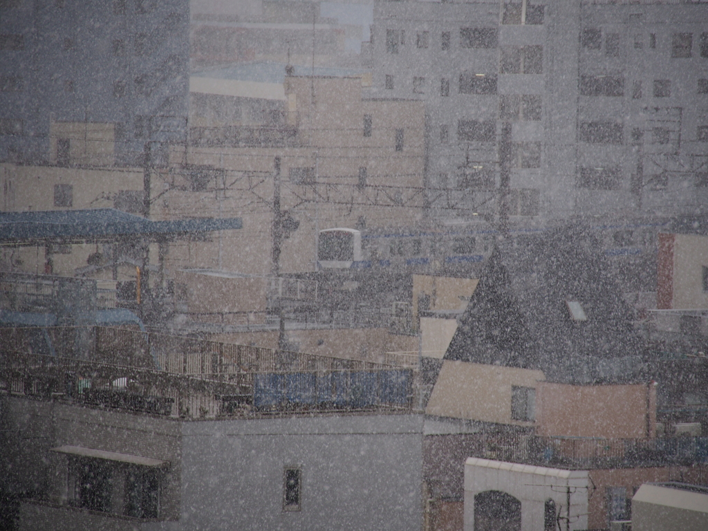 雪
