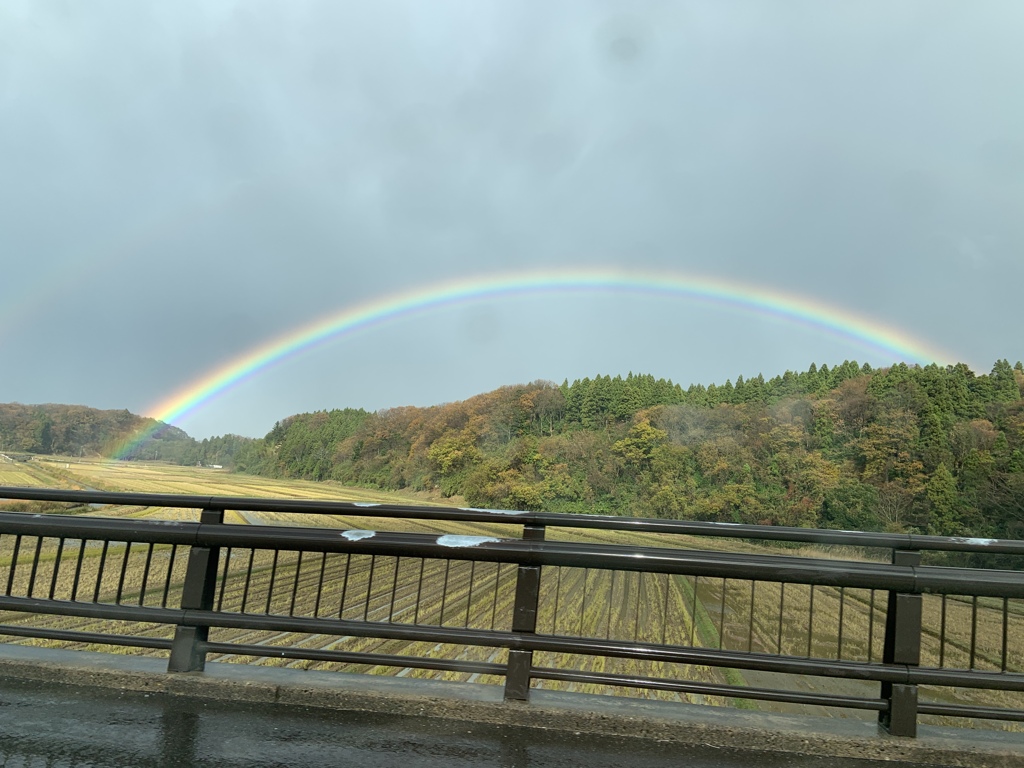 虹のむこうに