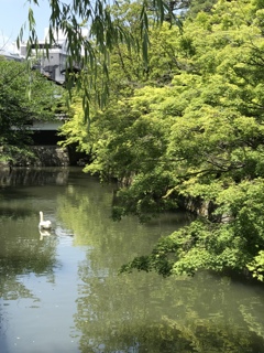 倉敷美観地区