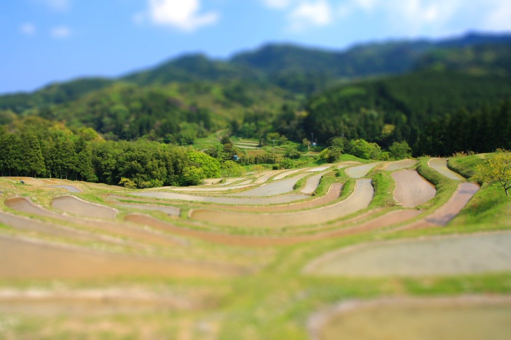 棚田（ミニチュア）