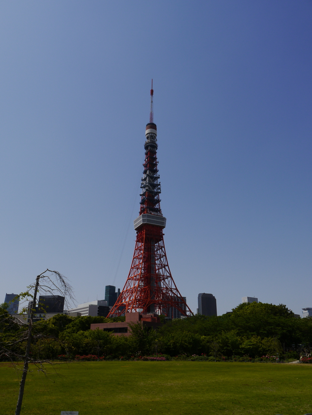 東京タワー（’１３）