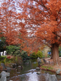 晩秋の公園